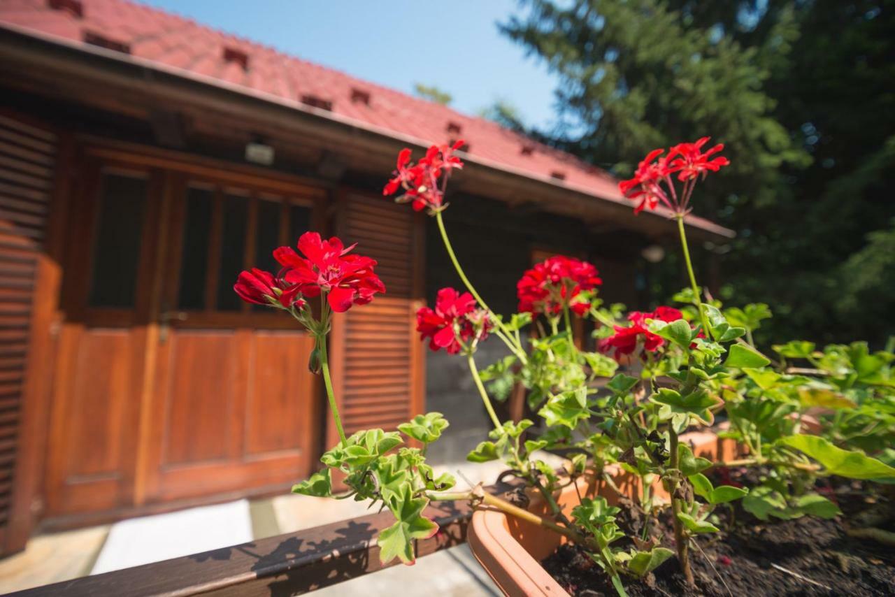 Cabin In The Woods Vukelic Stubicke Toplice Εξωτερικό φωτογραφία